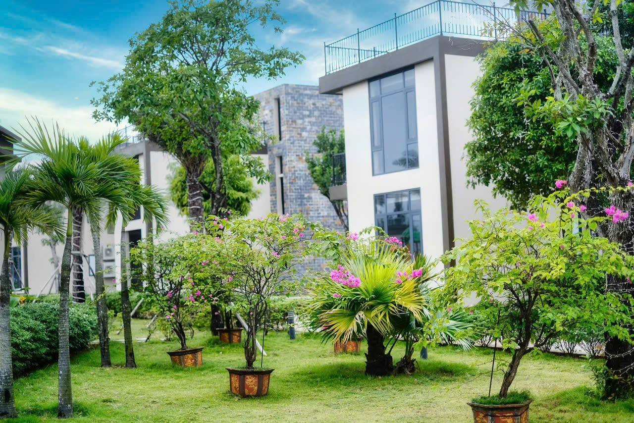 Trà Cổ Long Beach Resort Móng Cái Quảng Ninh