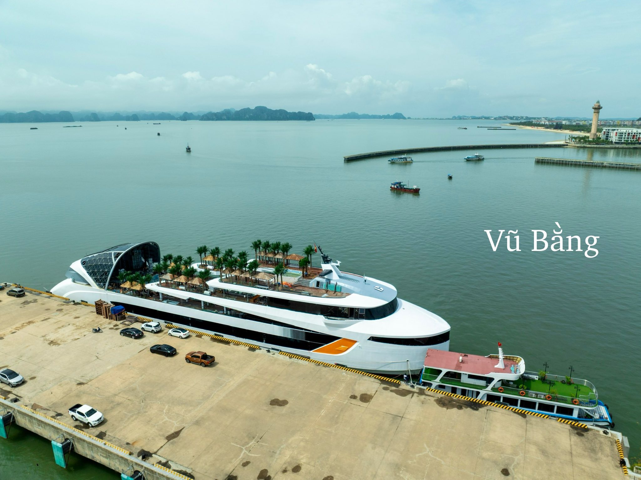 Du thuyền Dolphin Hạ Long