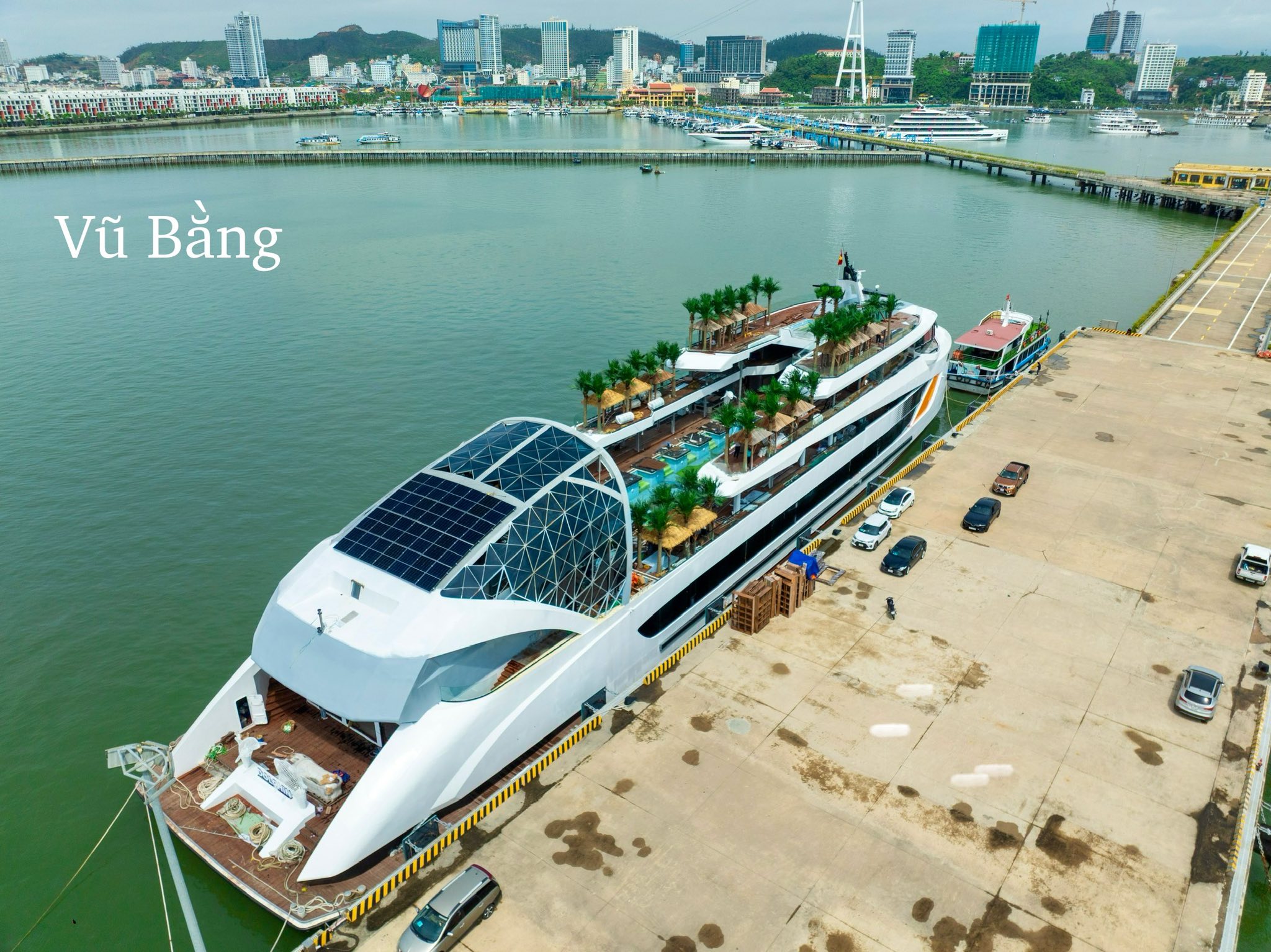 Du thuyền Dolphin Hạ Long