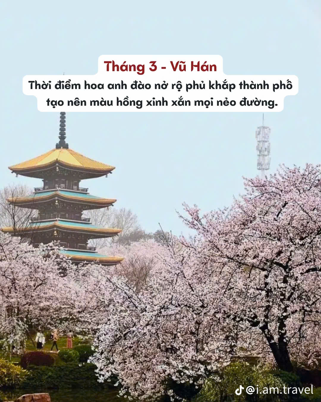 Tháng 3 Nên đi du lịch Vũ Hán Trung Quốc