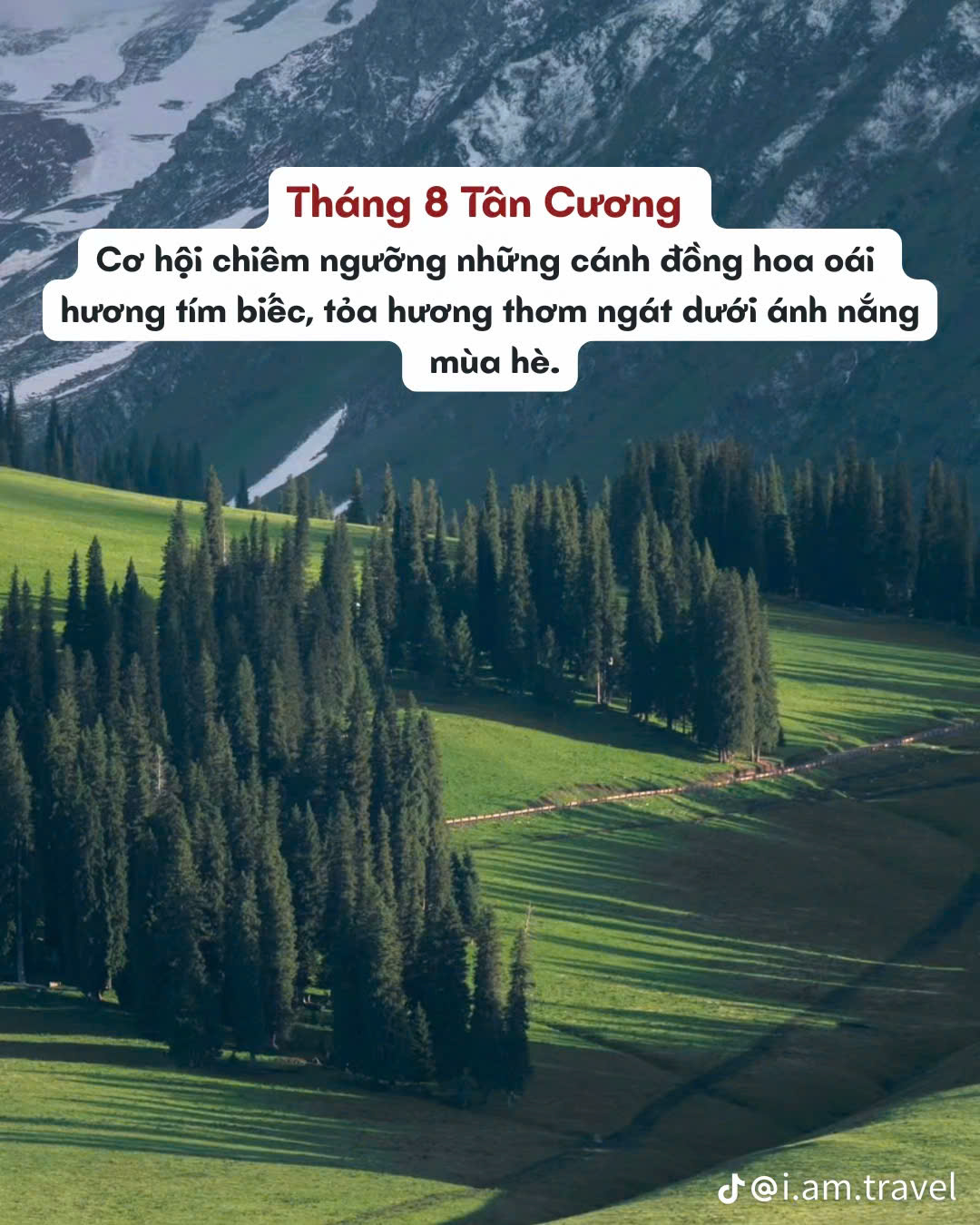 Tháng 8 Nên đi du lịch Tân Cương, Trung Quốc